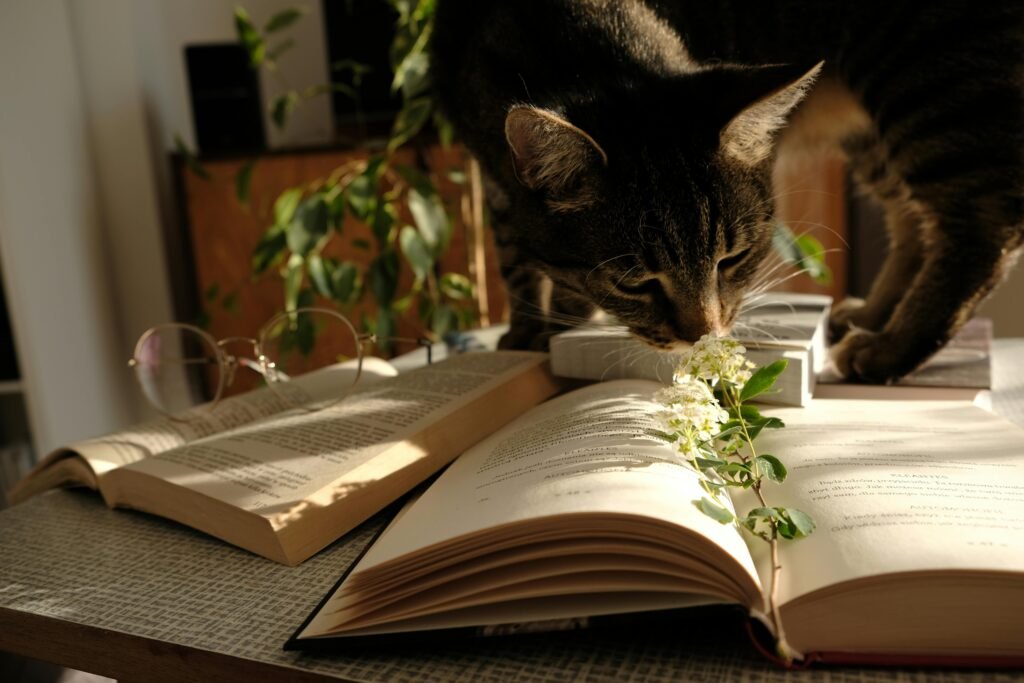pexels-photo-2383122-2383122 A curious cat investigates open books on a sunny table at home, exploring literature.